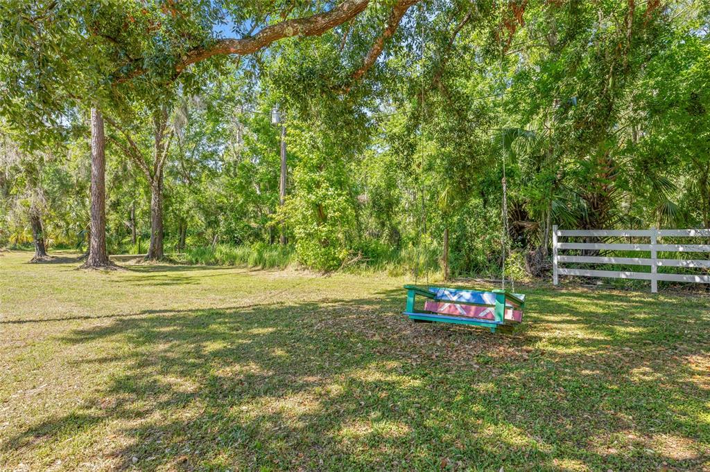 4425 Pine Street Valrico, FL 33596 - Photo 3 of 74