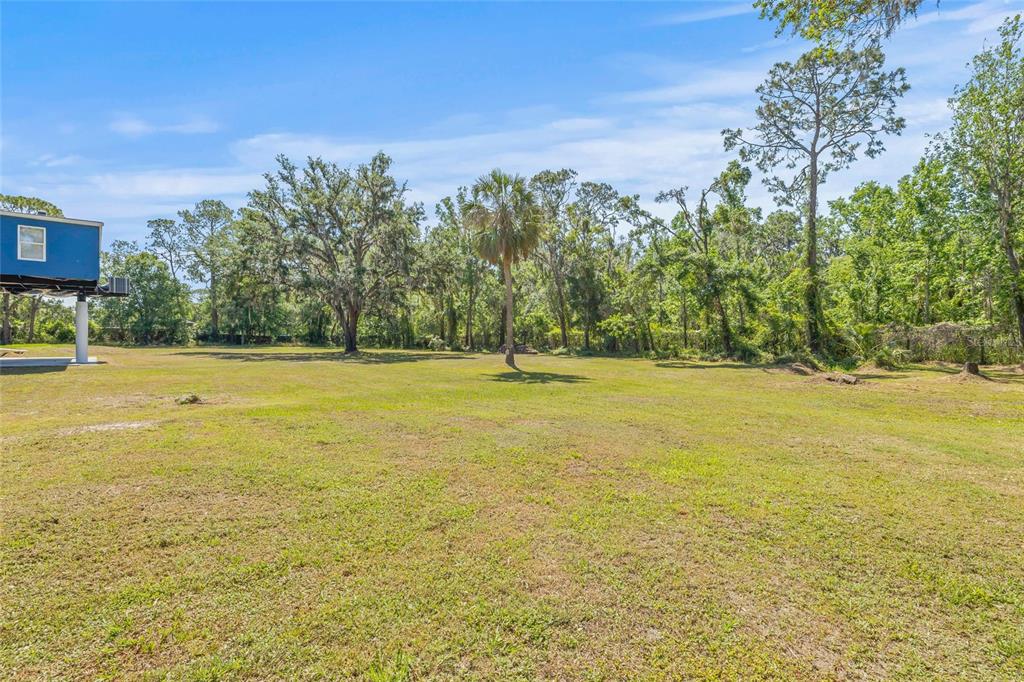 4425 Pine Street Valrico, FL 33596 - Photo 49 of 74