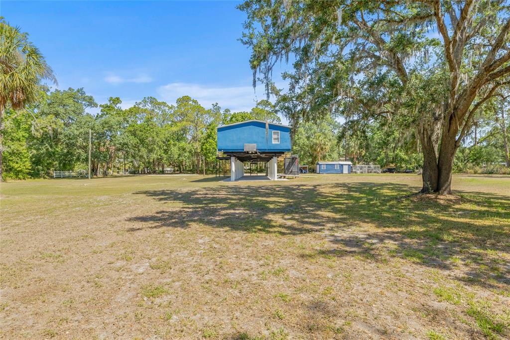 4425 Pine Street Valrico, FL 33596 - Photo 50 of 74