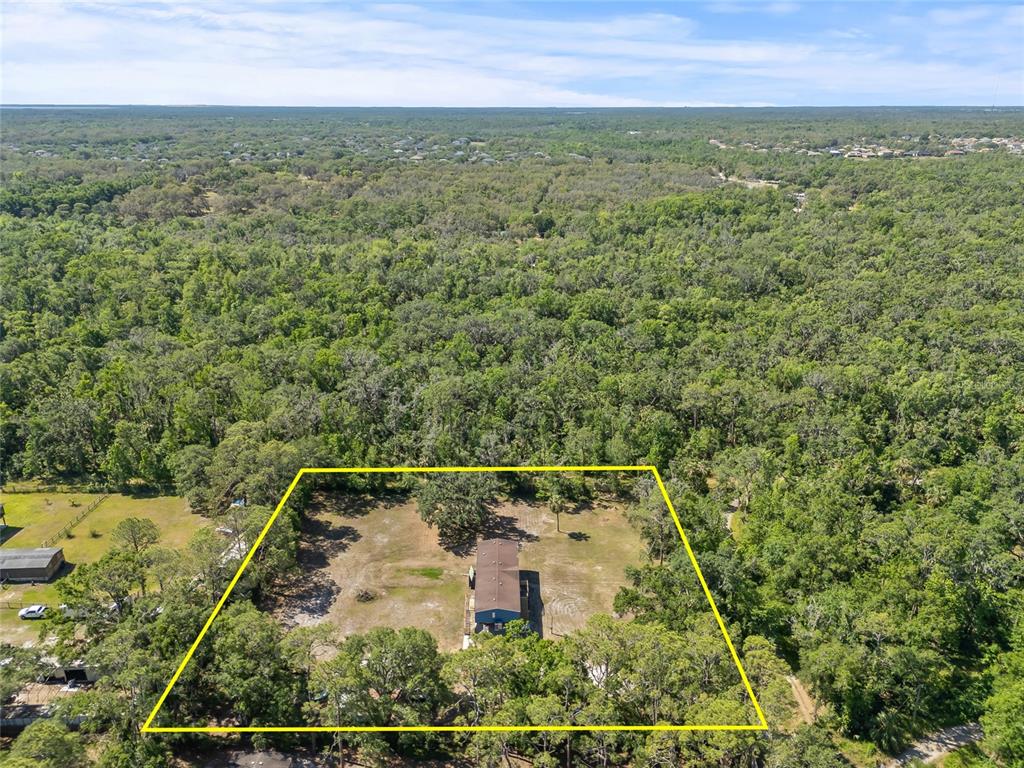 4425 Pine Street Valrico, FL 33596 - Photo 64 of 74