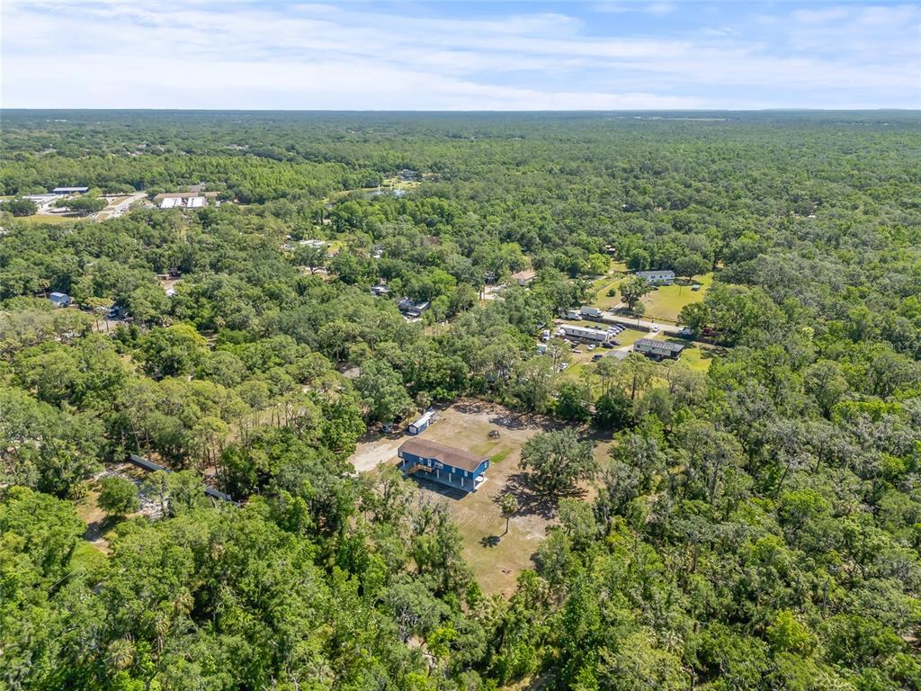 4425 Pine Street Valrico, FL 33596 - Photo 69 of 74