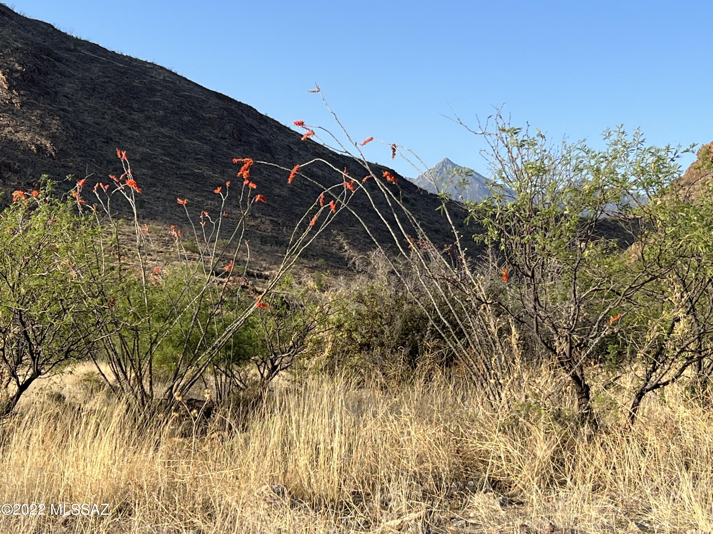 16 Shadow Crest, Unit 83 Rio Rico, AZ 85648 - Photo 8 of 8