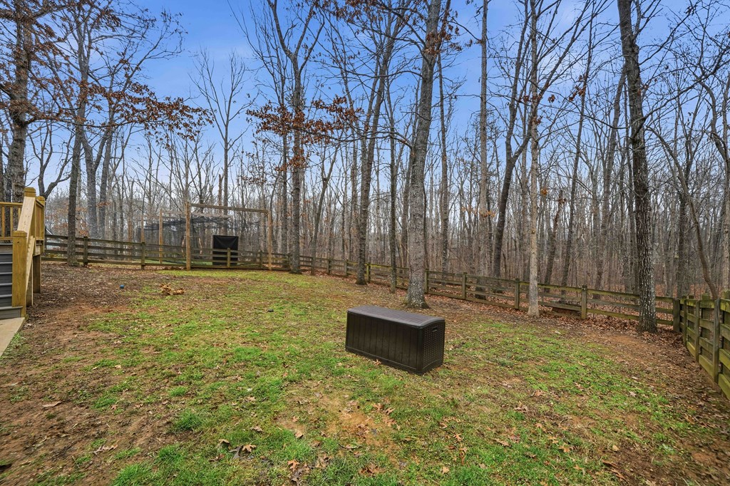 174 White Tail Ridge Road Jasper, GA 30143 - Photo 42 of 66