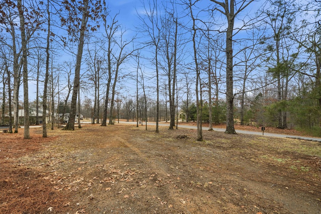 174 White Tail Ridge Road Jasper, GA 30143 - Photo 44 of 66 a ground with lots of trees
