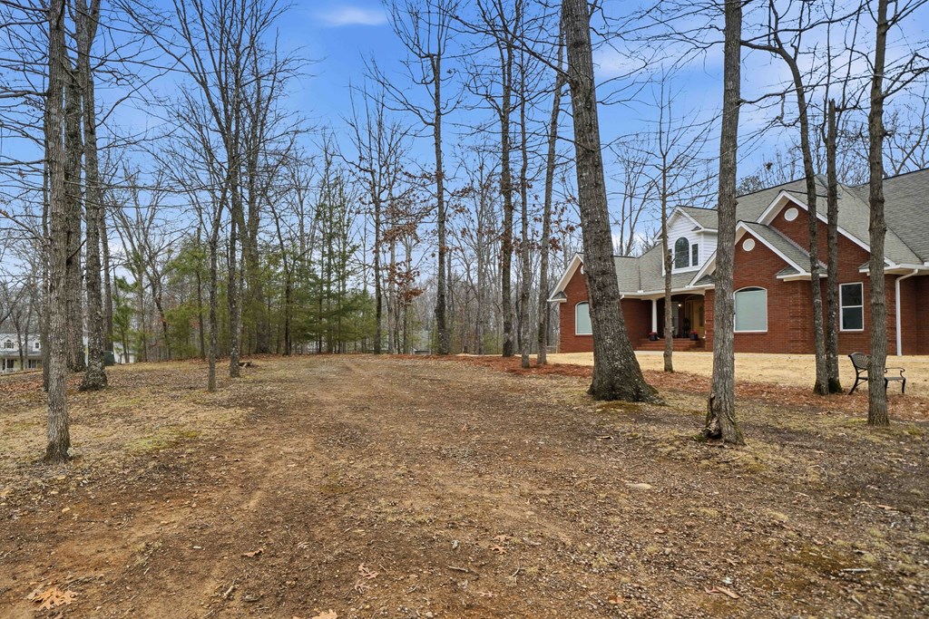 174 White Tail Ridge Road Jasper, GA 30143 - Photo 63 of 66 a view of a yard with a tree
