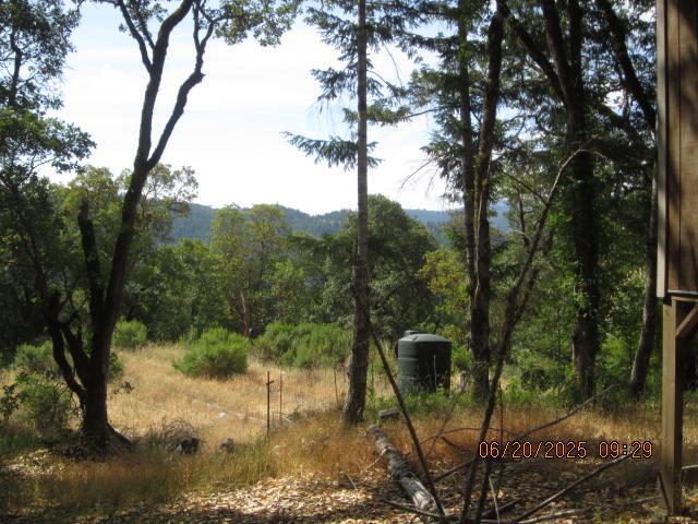 0 Sunset Ridge Road Blocksburg, CA 95514 - Photo 4 of 6