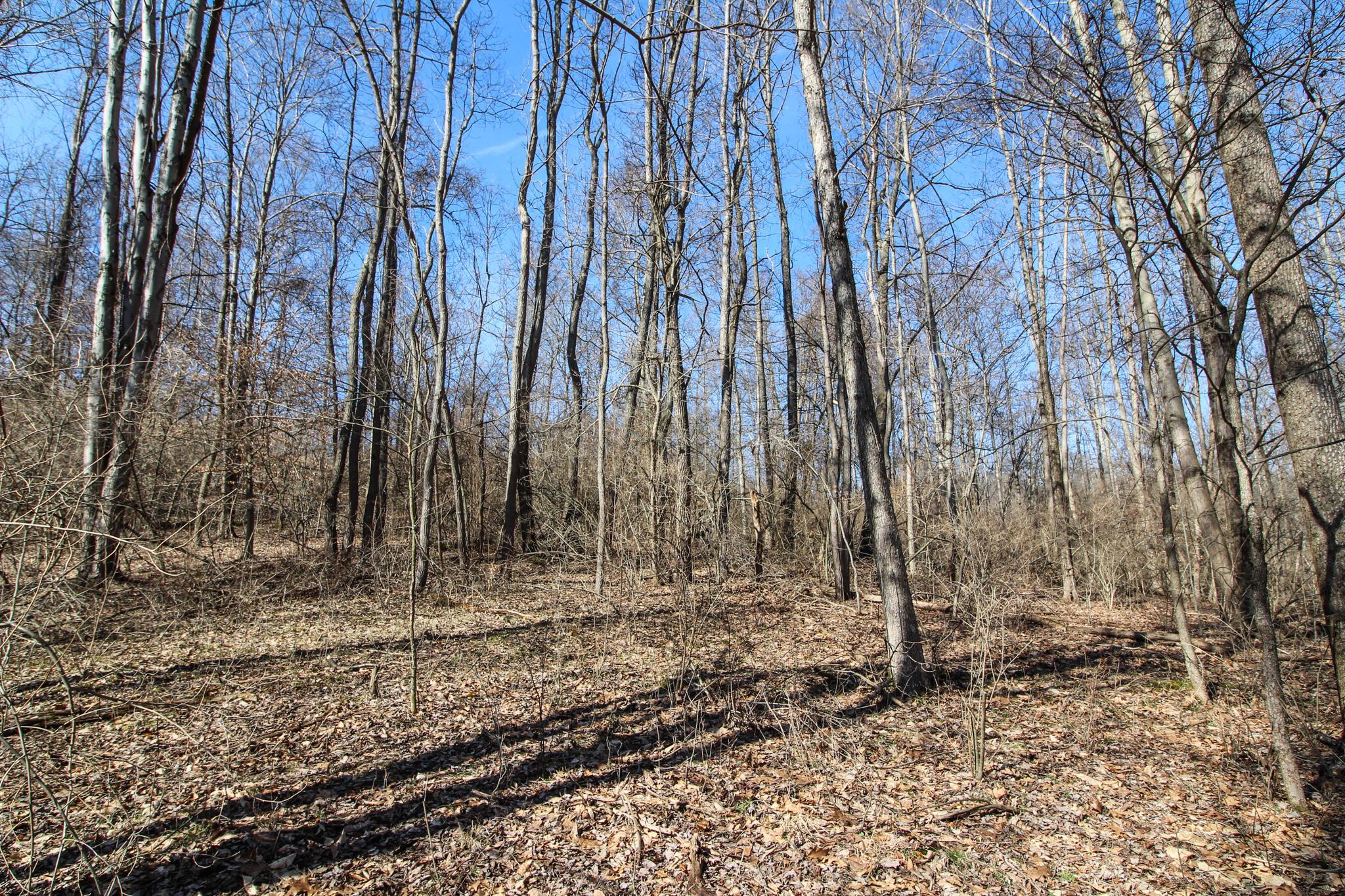 0 Waymor Road Quaker City, OH 43773 - Photo 15 of 24