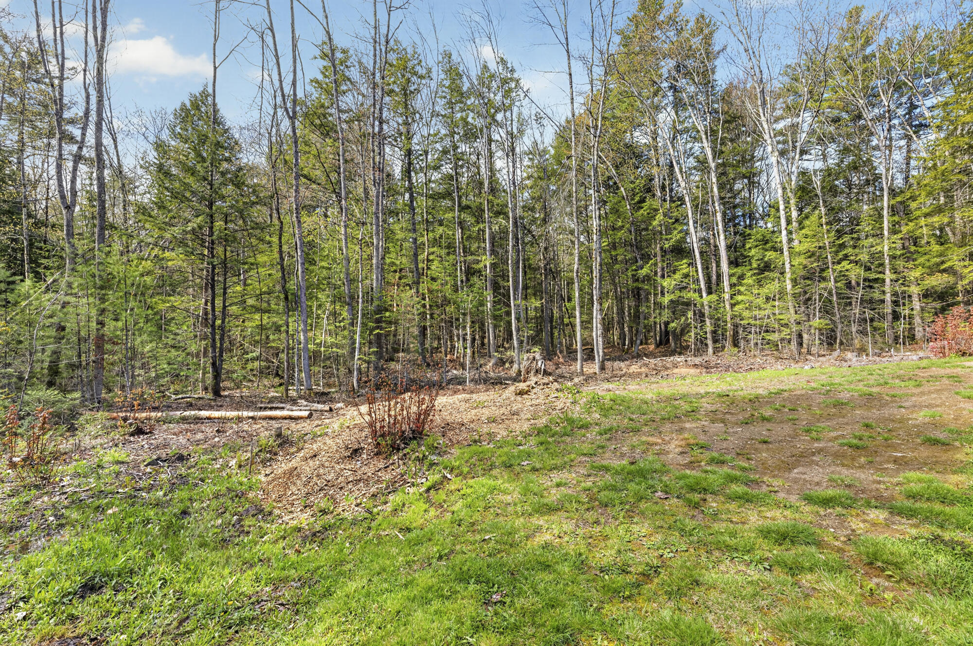 159 Henry Hill Road Buxton, ME 04093 - Photo 60 of 69 159 Henry Hill_59