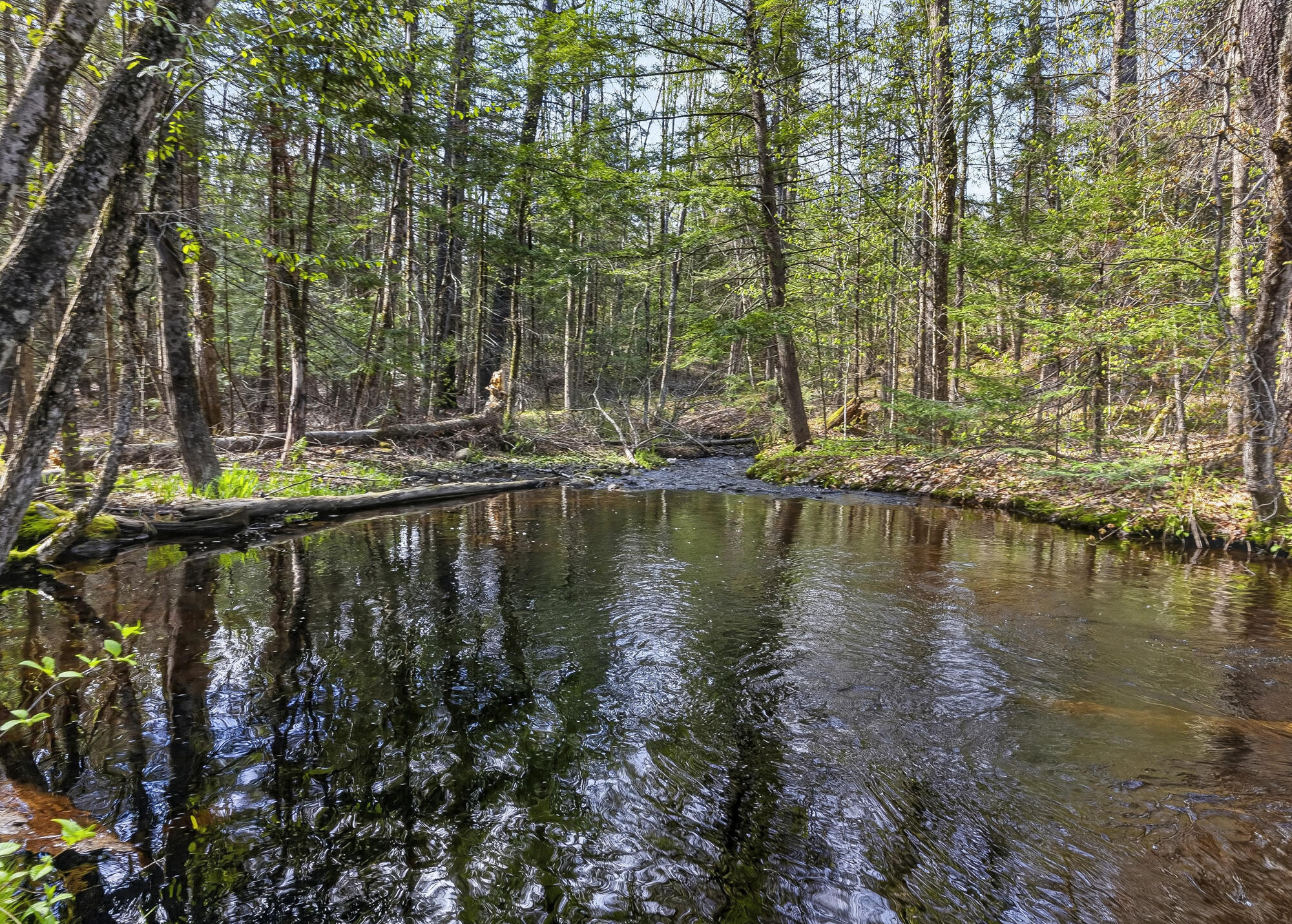 159 Henry Hill Road Buxton, ME 04093 - Photo 62 of 69 159 Henry Hill_61