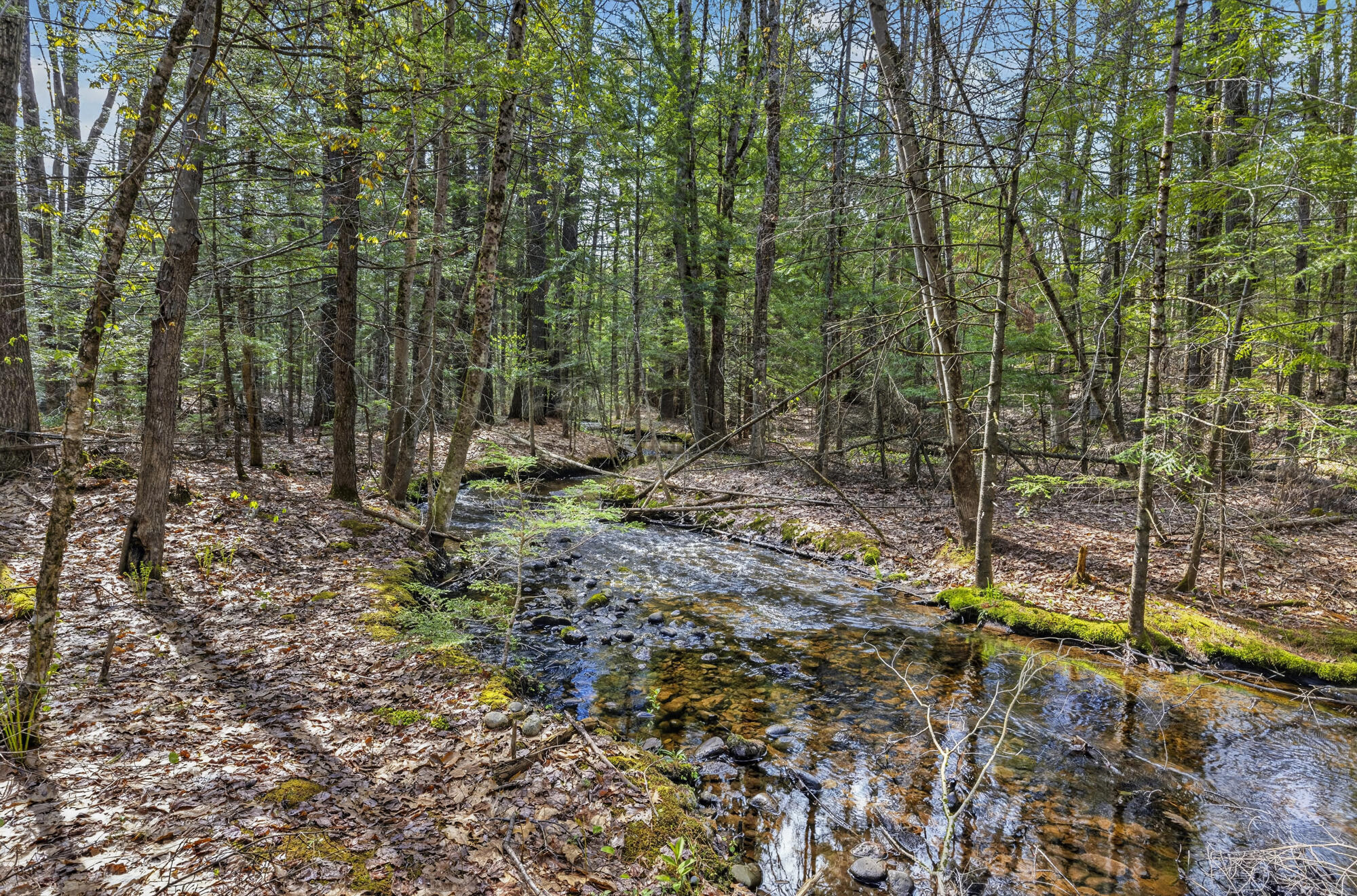 159 Henry Hill Road Buxton, ME 04093 - Photo 63 of 69 159 Henry Hill_62