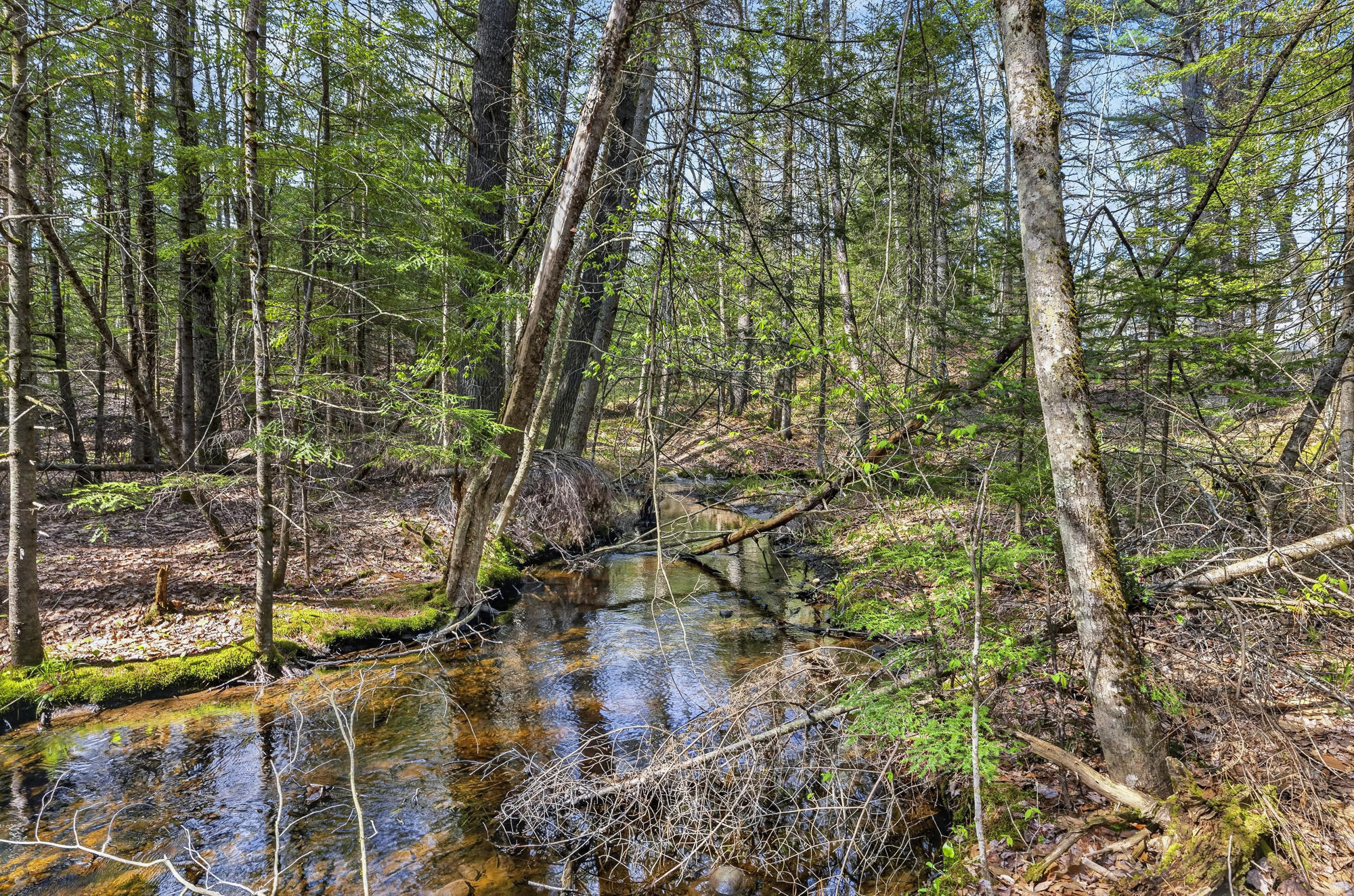159 Henry Hill Road Buxton, ME 04093 - Photo 64 of 69 159 Henry Hill_63