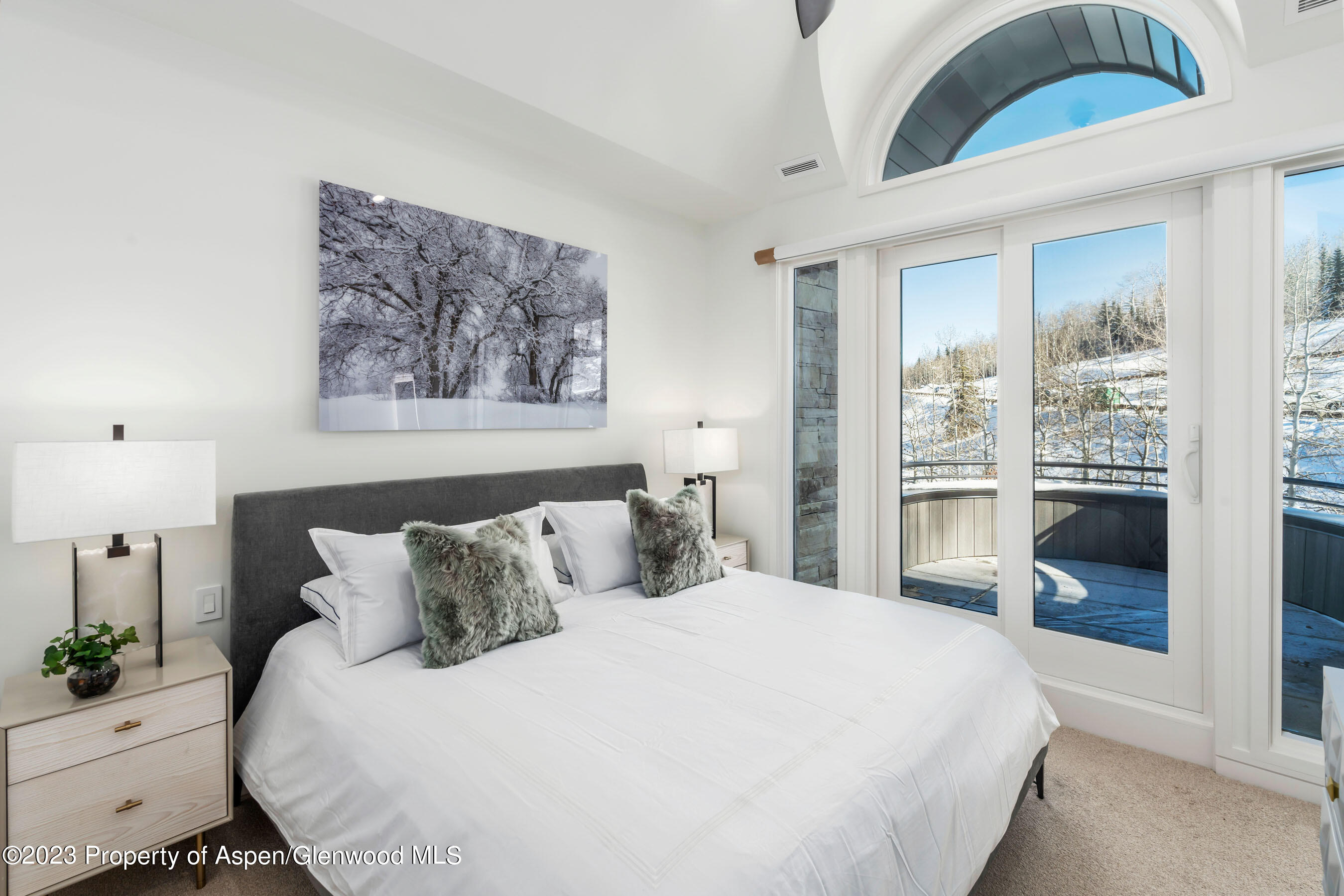 381 Ridge Road, Unit C4 Snowmass Village, CO 81615 - Photo 17 of 21 Photo14