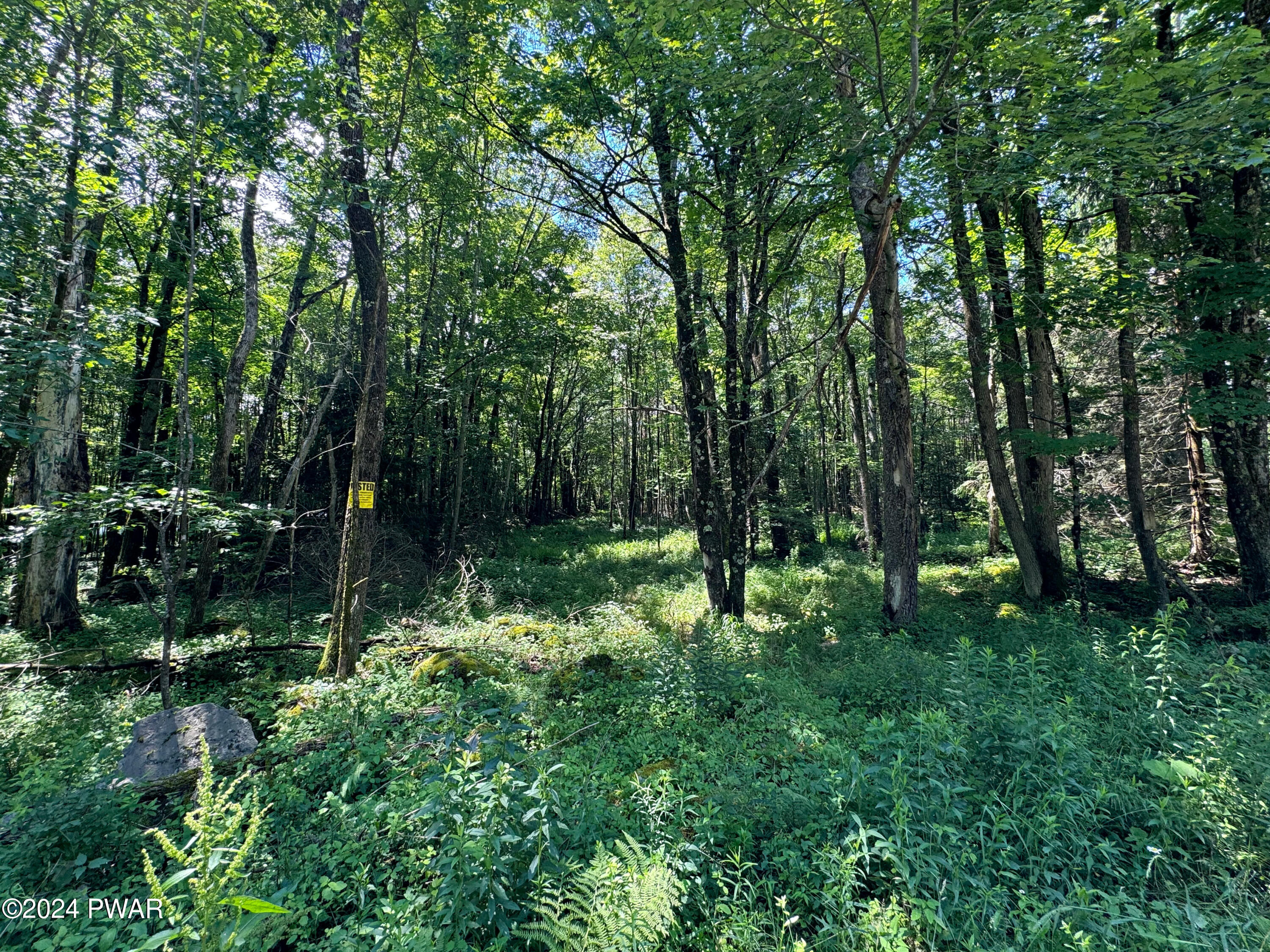 Upper Woods Road Pleasant Mount, PA 18453 - Photo 2 of 10