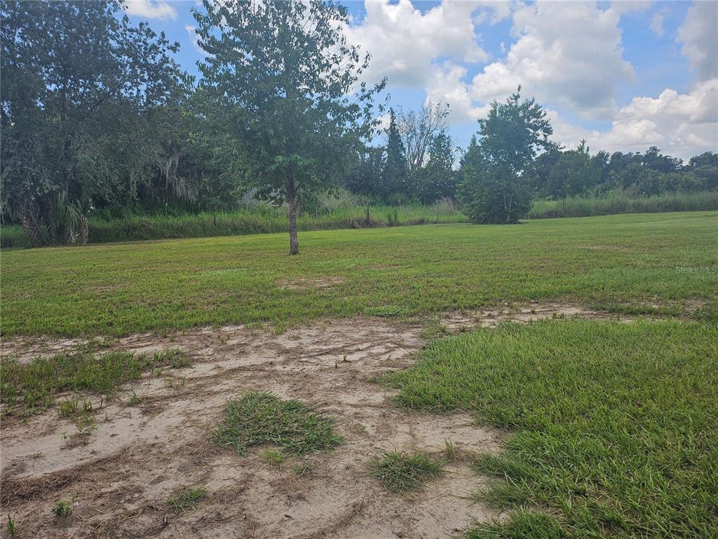 2452 Welcome Road Lithia, FL 33547 - Photo 12 of 16
