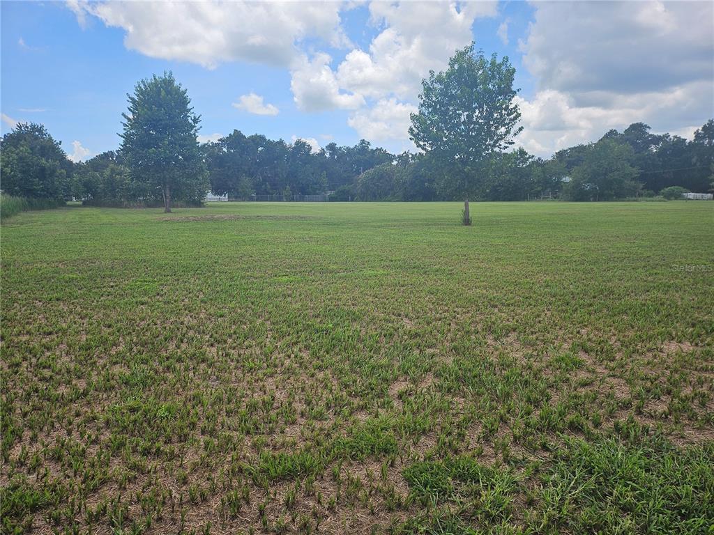 2452 Welcome Road Lithia, FL 33547 - Photo 14 of 16