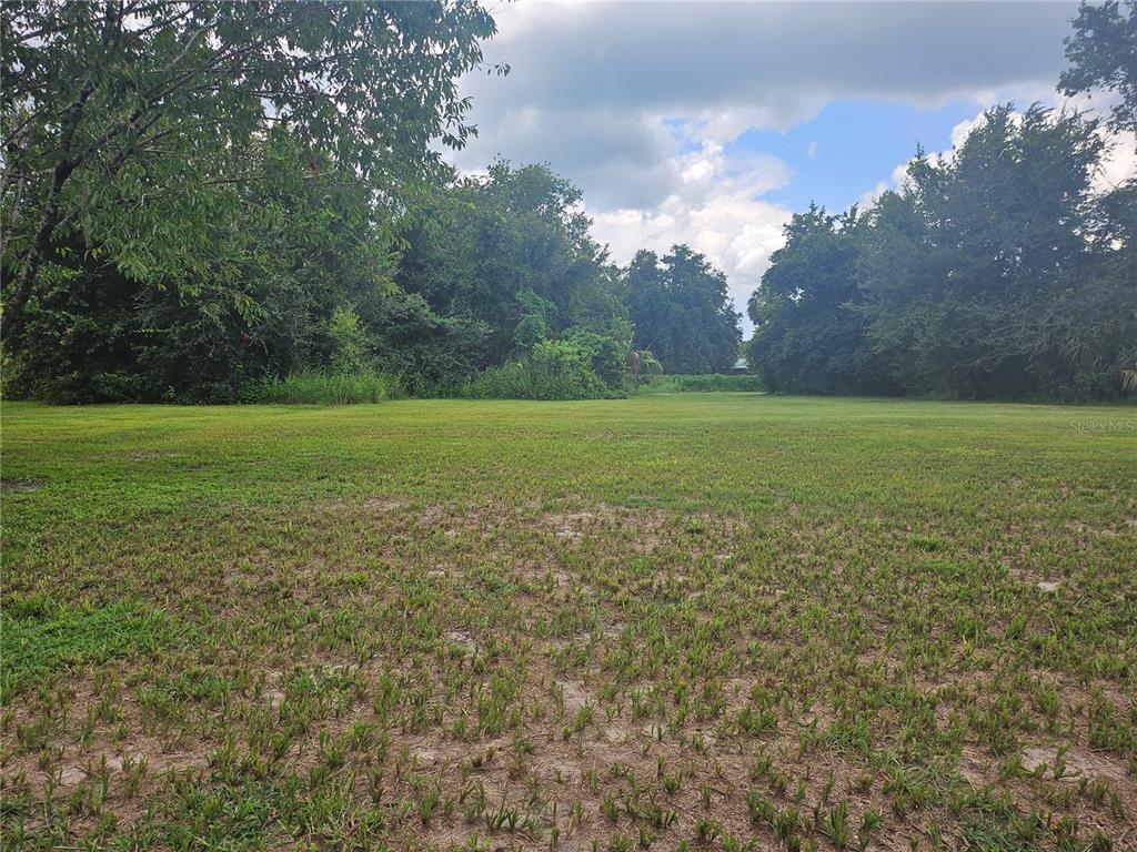 2452 Welcome Road Lithia, FL 33547 - Photo 5 of 16