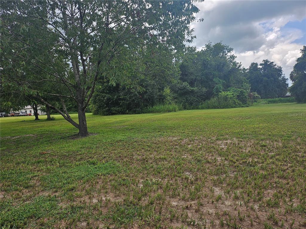 2452 Welcome Road Lithia, FL 33547 - Photo 6 of 16