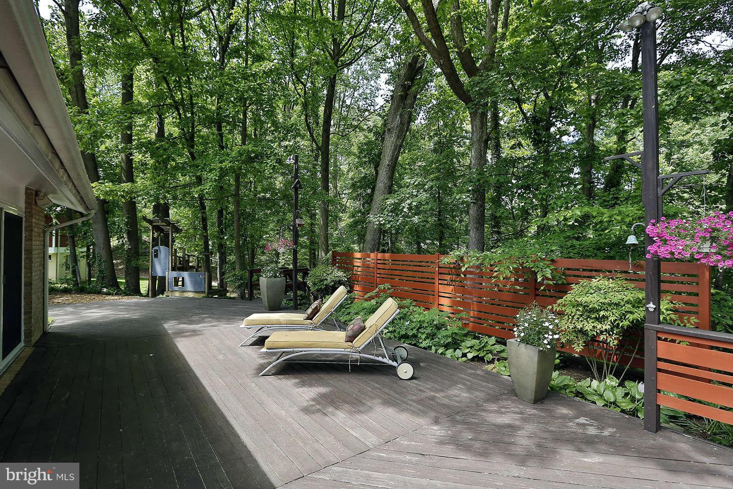 7503 Hamilton Spring Road Bethesda, MD 20817 - Photo 22 of 30 a view of backyard with outdoor seating and trees