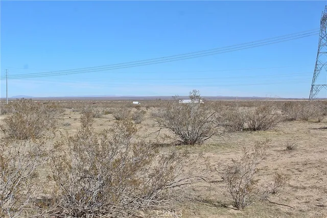 a view of a dry yard with wooden floors