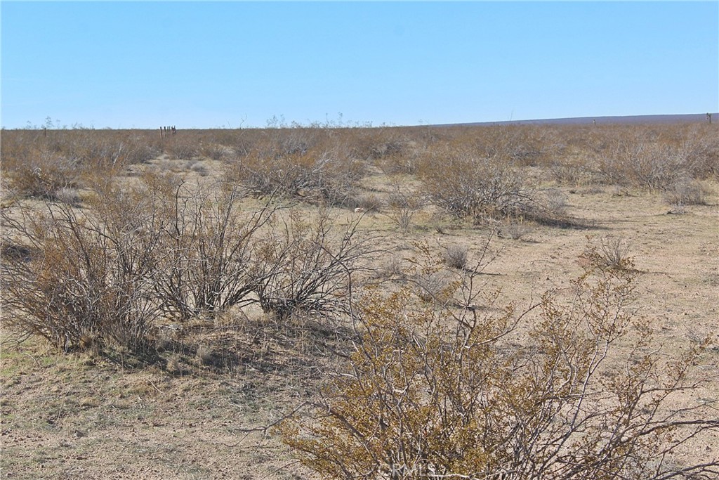 112 Highway 395 Hines, OR 97738 - Photo 5 of 8 wooden floor in middle of the snow