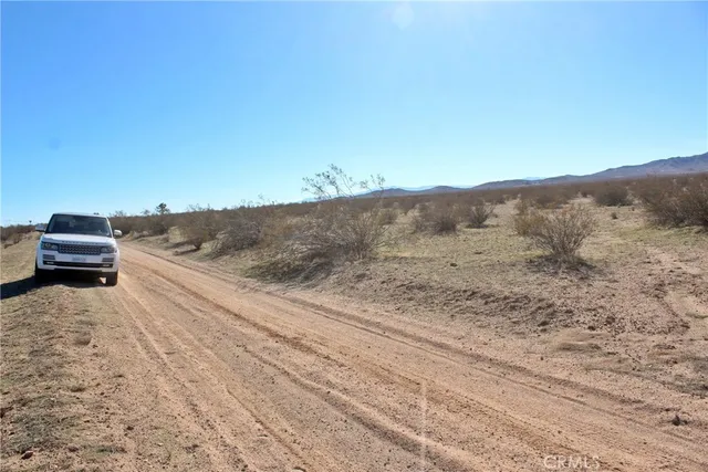 a view of a dry yard with mountain