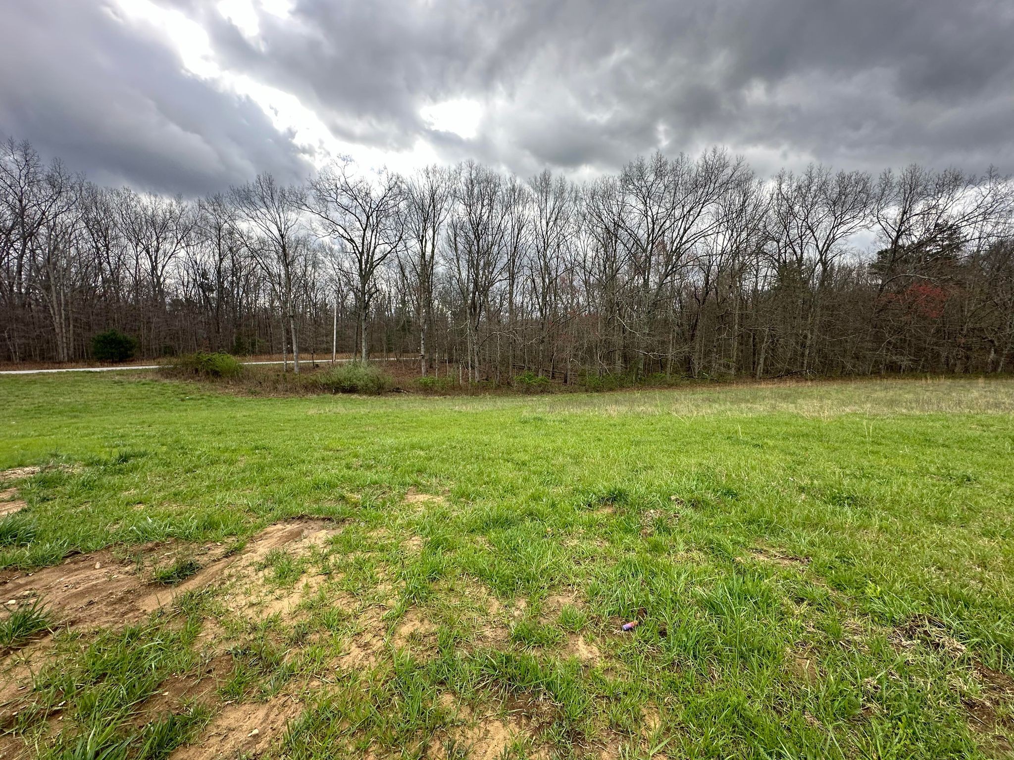 254 Georgee Road Jamestown, TN 38556 - Photo 4 of 43 Gallery Image 4