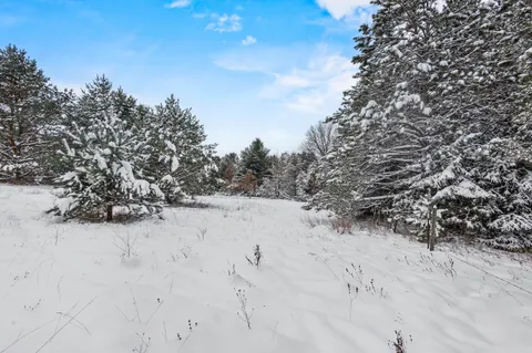 $70,000 | 4.65-acres 4.65-acres 2nd, Coloma, WI 54930