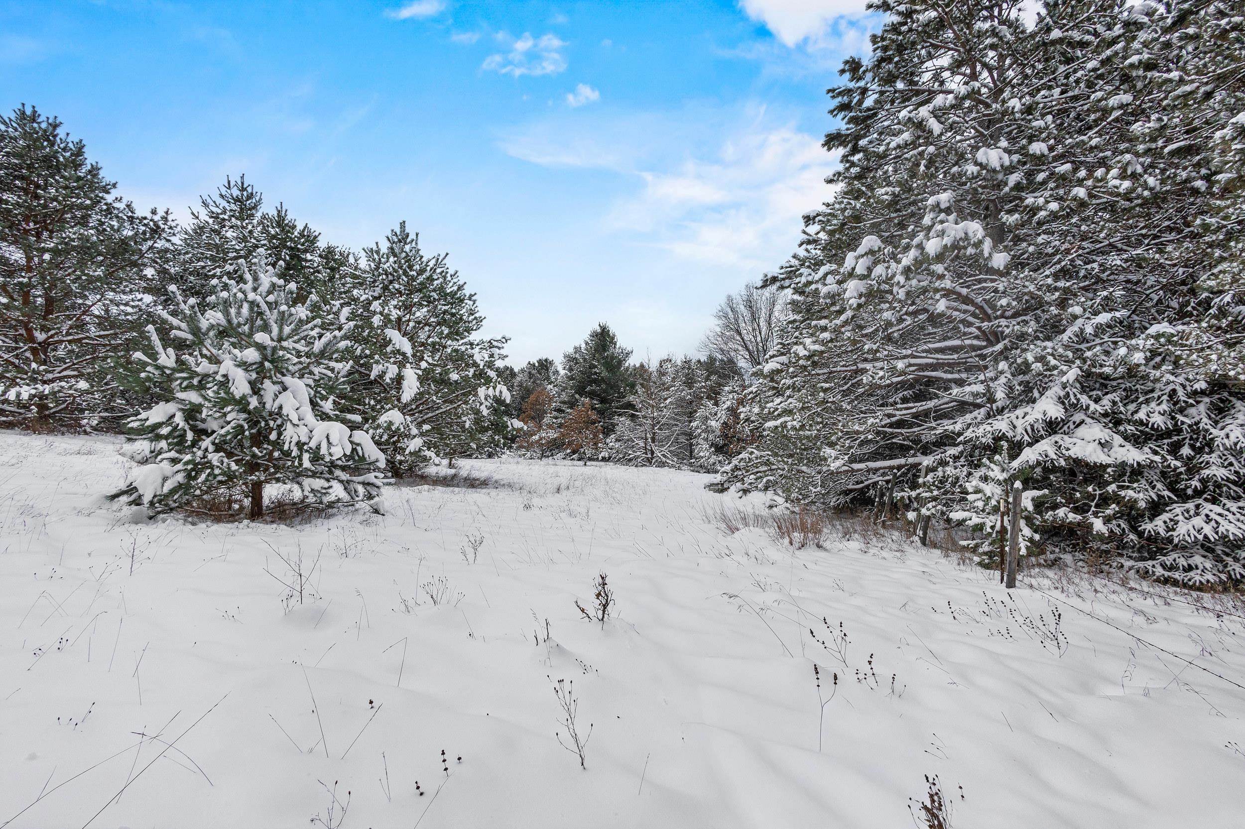 4.65-acres 4.65-acres 2nd Coloma, WI 54930 - Photo 4 of 20