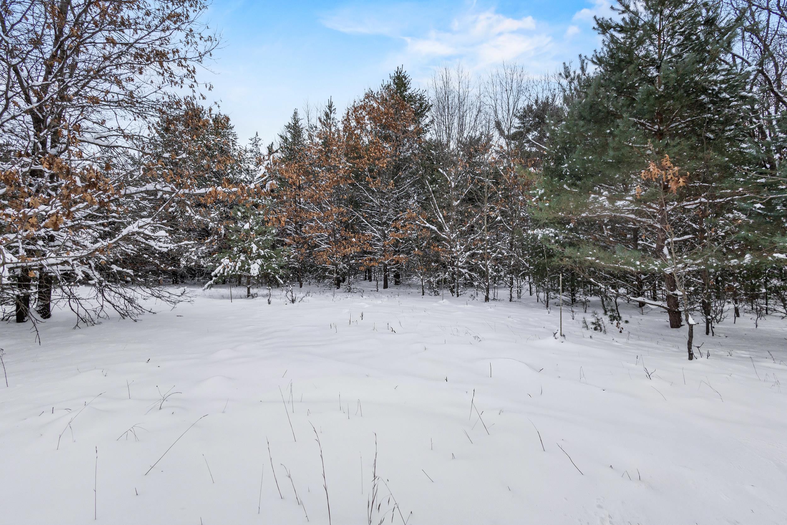 4.65-acres 4.65-acres 2nd Coloma, WI 54930 - Photo 5 of 20