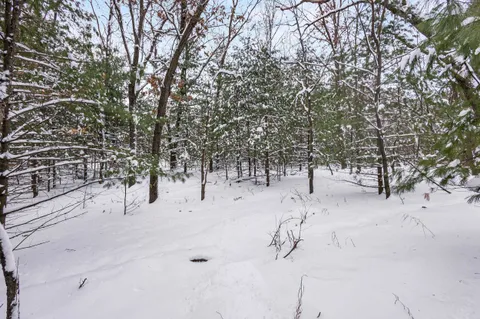 $70,000 | 4.65-acres 4.65-acres 2nd, Coloma, WI 54930