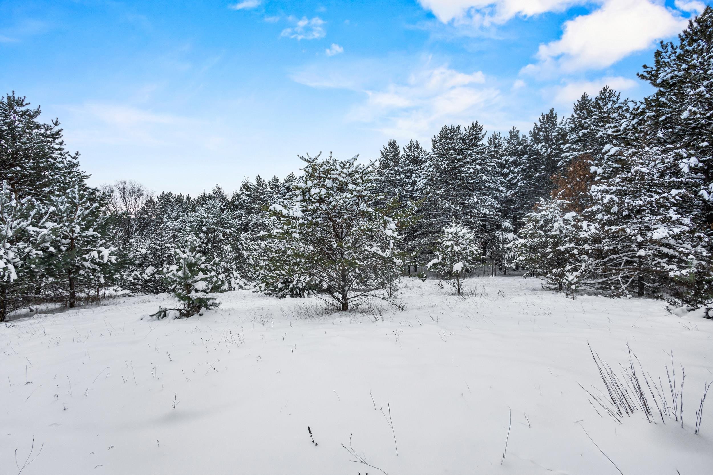 4.65-acres 4.65-acres 2nd Coloma, WI 54930 - Photo 8 of 20