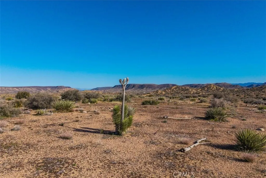 3263 Apache Pioneertown, CA 92268 - Photo 11 of 24 a view of a dry yard with trees