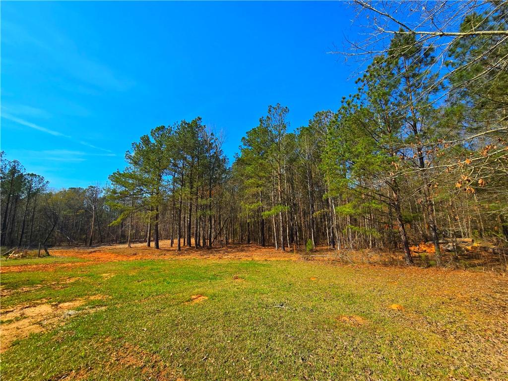 2001 Rocky Creek Road Mansfield, GA 30055 - Photo 14 of 60