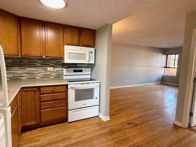 $209,900 | 1041 Susan Collins Lane, Unit 402, Oak Park, IL 60302