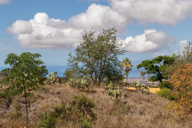 a view of a lake and mountain in the back