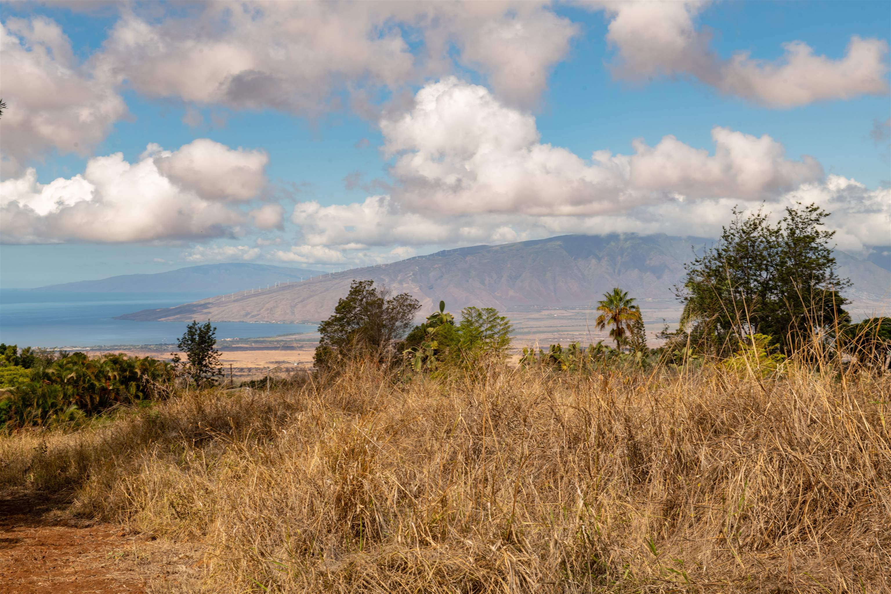 0 Holopuni Road Kula, HI 96790 - Photo 6 of 12 a view of a lake and mountain in the back