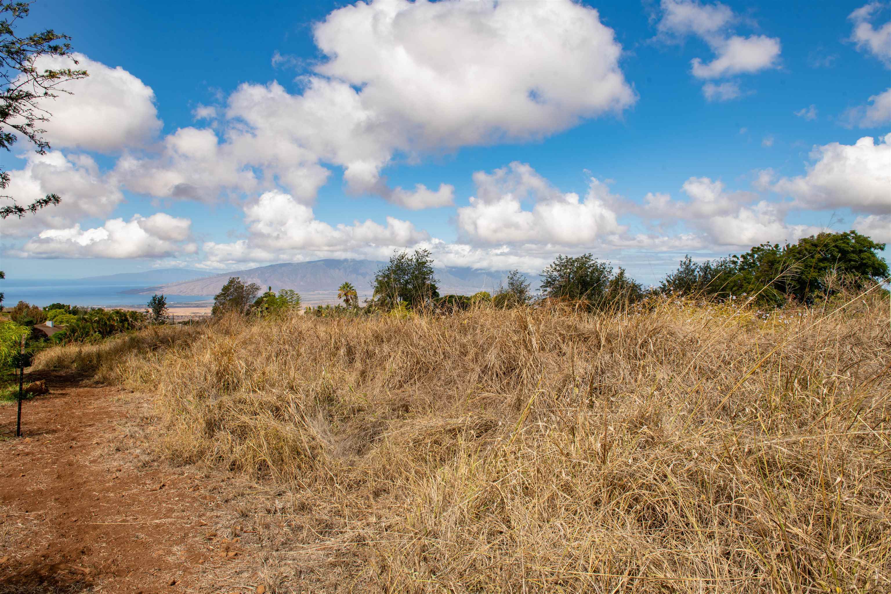 0 Holopuni Road Kula, HI 96790 - Photo 7 of 12 a view of a lake