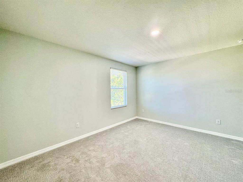 35743 Hillbrook Avenue Zephyrhills, FL 33541 - Photo 32 of 44