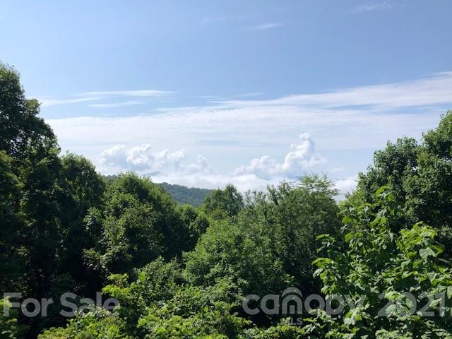 999 Hickory Forest Road, Unit A Fairview, NC 28730 - Photo 1 of 4 Gallery Image 1
