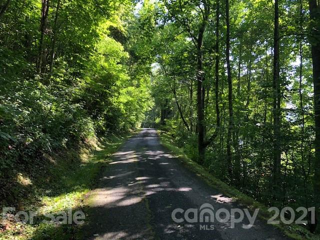 999 Hickory Forest Road, Unit A Fairview, NC 28730 - Photo 2 of 4 Gallery Image 2
