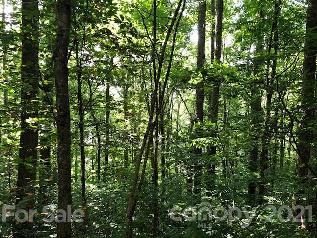 999 Hickory Forest Road, Unit A Fairview, NC 28730 - Photo 4 of 4 Gallery Image 4