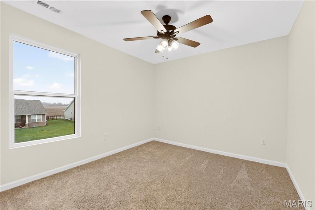 421 Chamberlain Drive Troy, IL 62294 - Photo 15 of 29