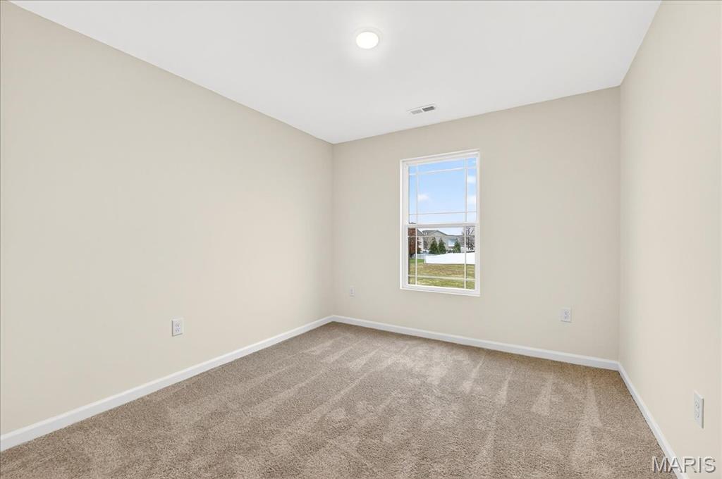 421 Chamberlain Drive Troy, IL 62294 - Photo 18 of 29