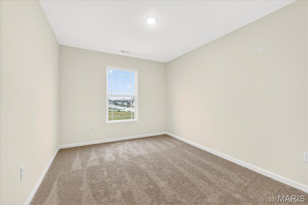 421 Chamberlain Drive Troy, IL 62294 - Photo 20 of 29