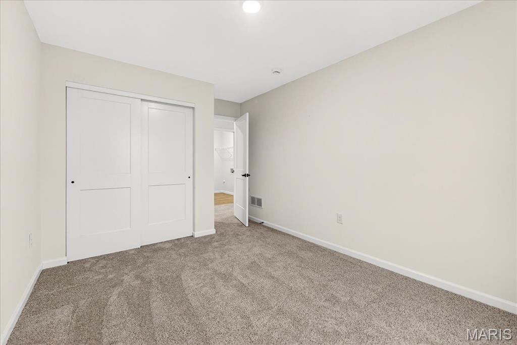 421 Chamberlain Drive Troy, IL 62294 - Photo 21 of 29