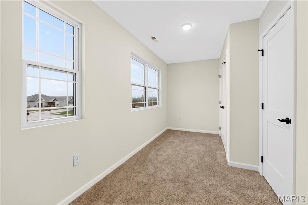 421 Chamberlain Drive Troy, IL 62294 - Photo 23 of 29