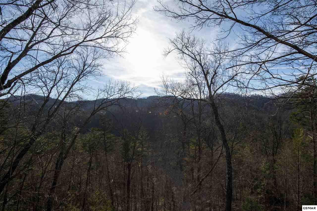 3021 Hatcher Top Road Sevierville, TN 37862 - Photo 30 of 36 Gallery Image 30