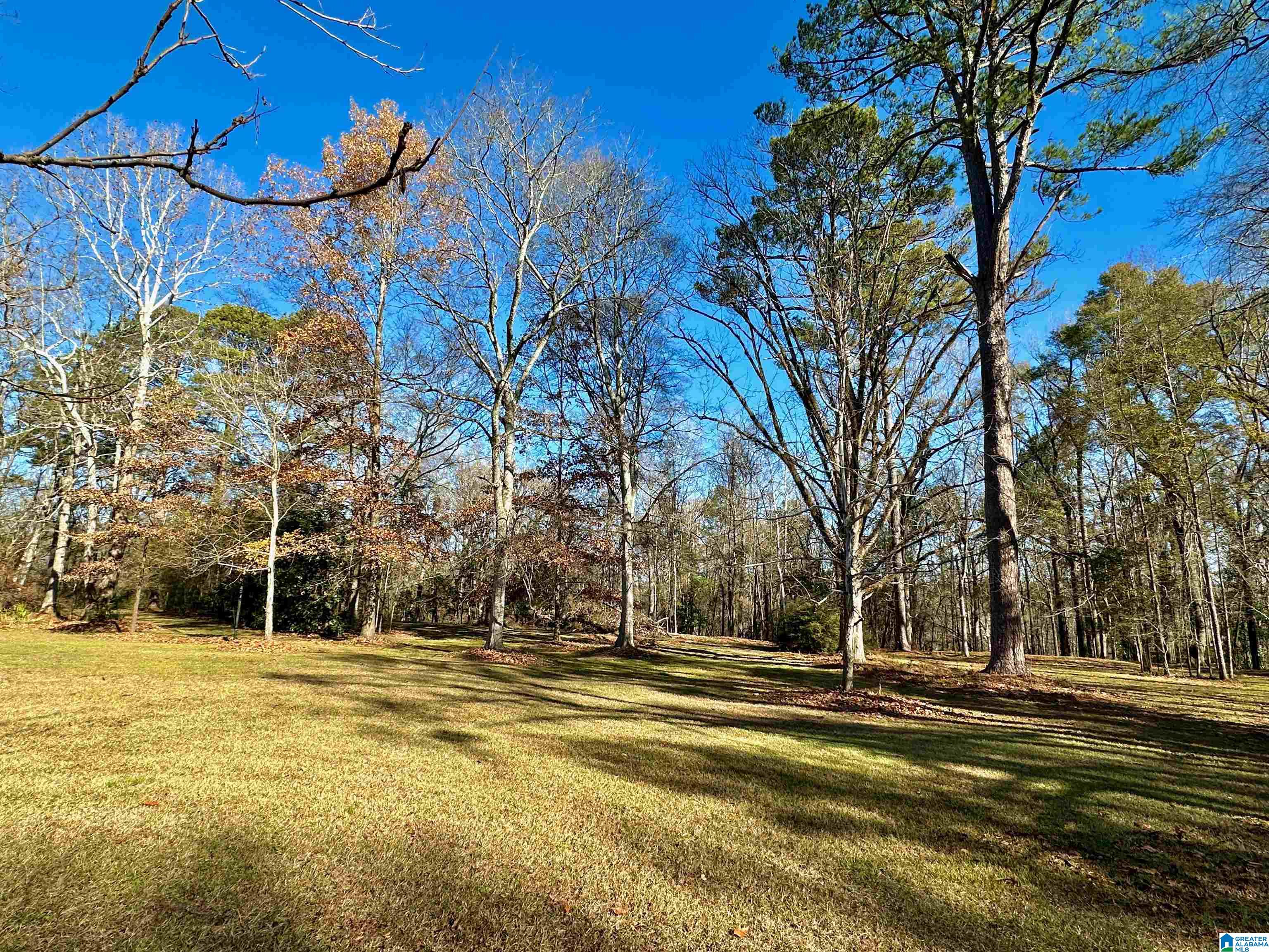 822 Mesopotamia Street Eutaw, AL 35462 - Photo 34 of 47
