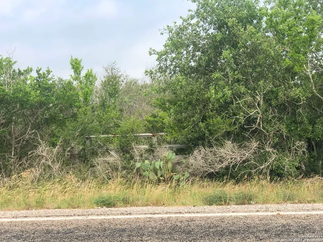 a view of a yard with a tree