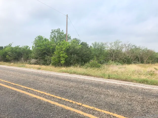 a view of a yard with potted plants